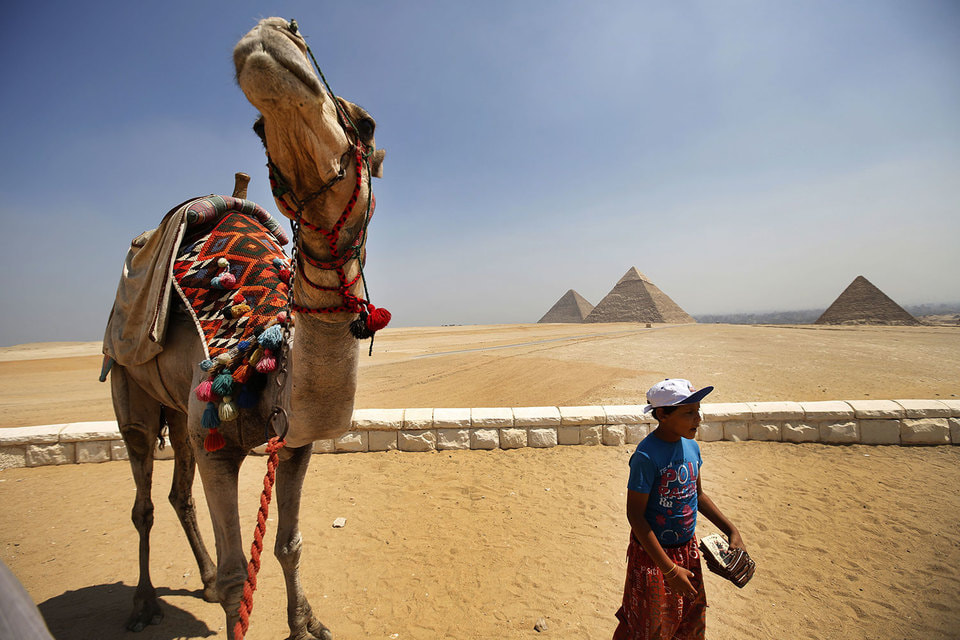 Россиянам рассказали, как сейчас легально попасть на курорты Египта