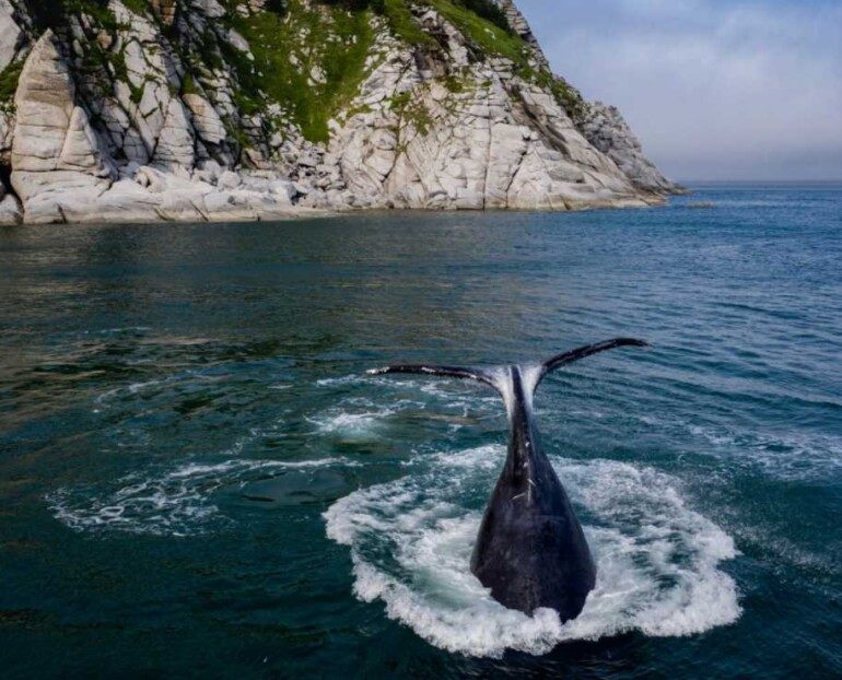 Отправляемся на встречу с китами на Шантарские острова