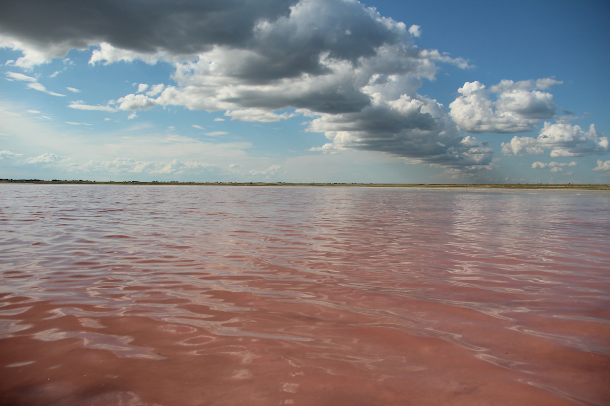 розовое озеро на алтае