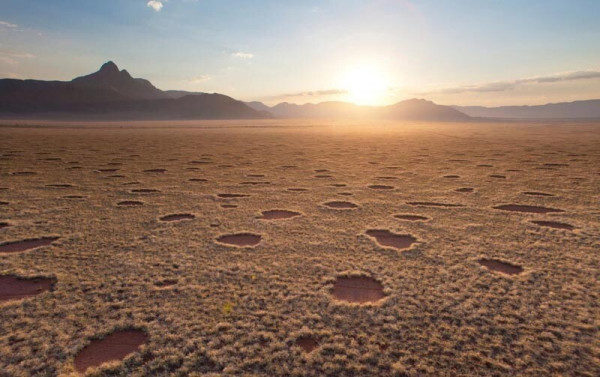 Тайна появления «волшебных кругов» в африканской пустыне наконец разгадана