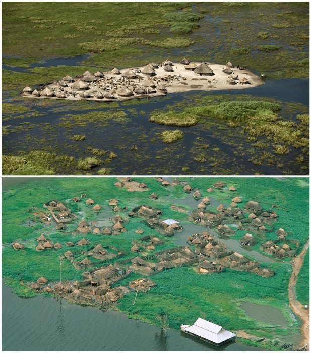Африканское племя живёт на болоте и не променяет его ни на один мегаполис