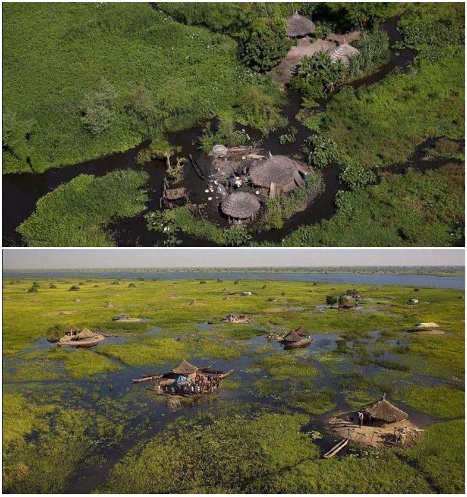 Африканское племя живёт на болоте и не променяет его ни на один мегаполис