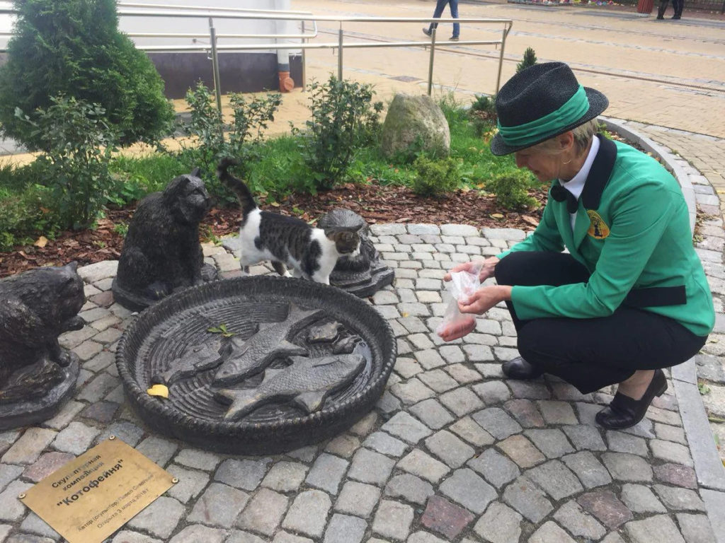 Как кошки изменили жизнь Зеленоградска