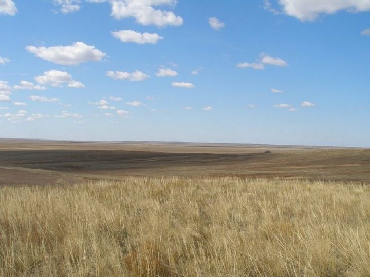 Секрет казахстанских геоглифоа, видимых из космоса