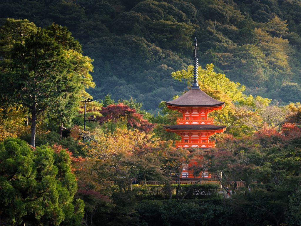 8 потрясающих мест в мире, чтобы поймать дзен