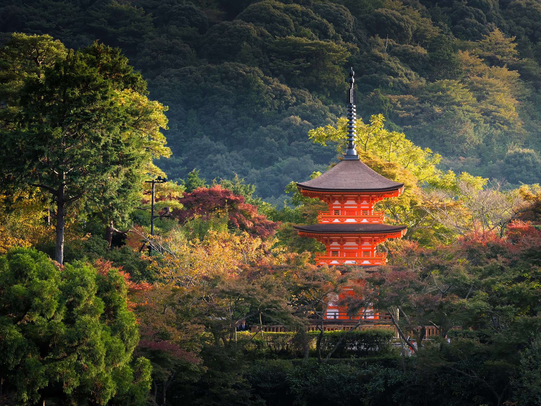 Киото япония. Киото (город в Японии). Храмы города Киото. Кёто город в Японии. Киото (город в Японии) тысячи врат.