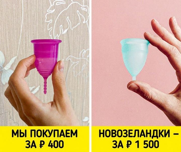 12 особенностей быта и традиций Новой Зеландии, от которых у приезжих округляются глаза