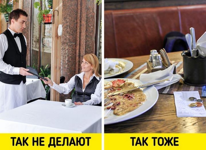 12 особенностей быта и традиций Новой Зеландии, от которых у приезжих округляются глаза