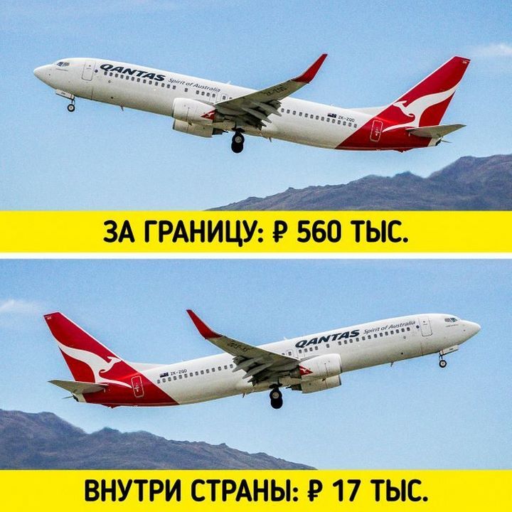 12 особенностей быта и традиций Новой Зеландии, от которых у приезжих округляются глаза