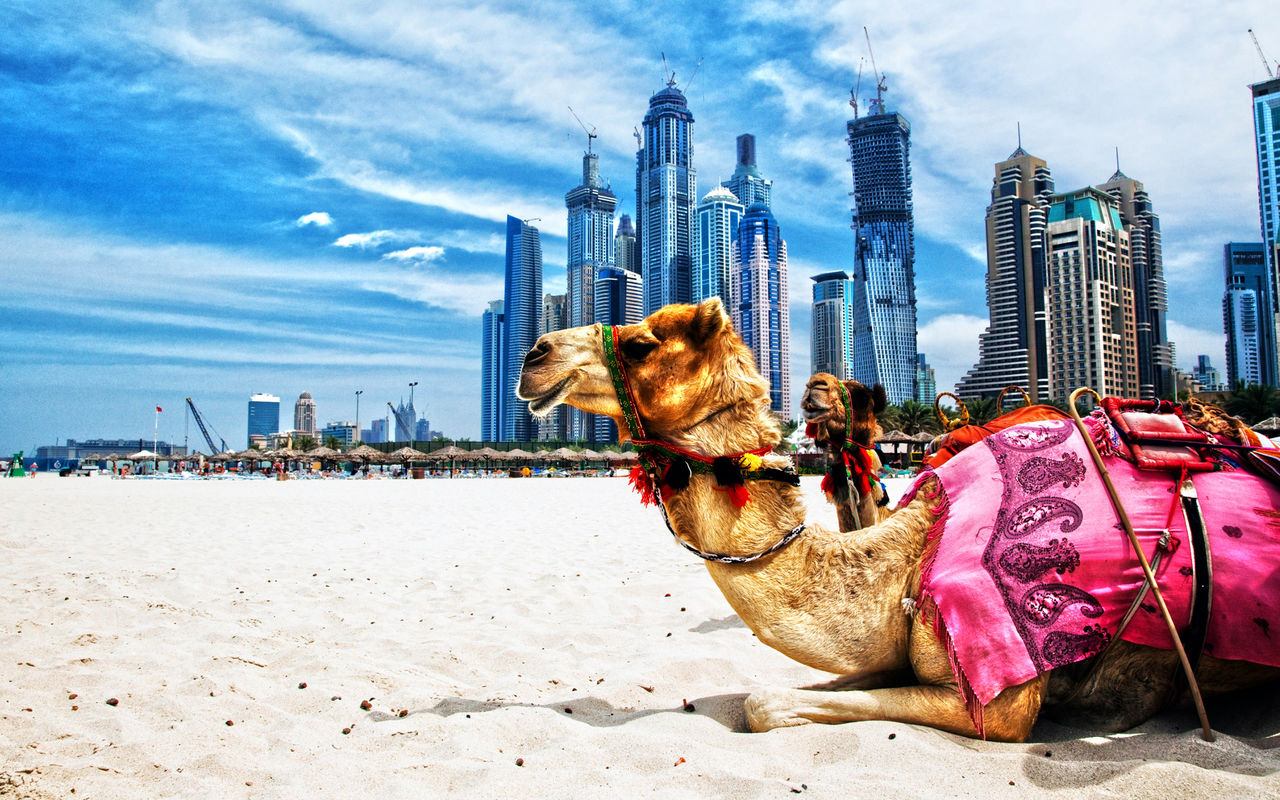 5 причин полететь в Дубай этой зимой