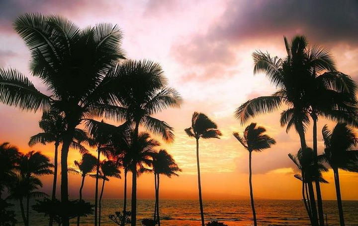 С 1 января меняются условия въезда туристов на Кубу