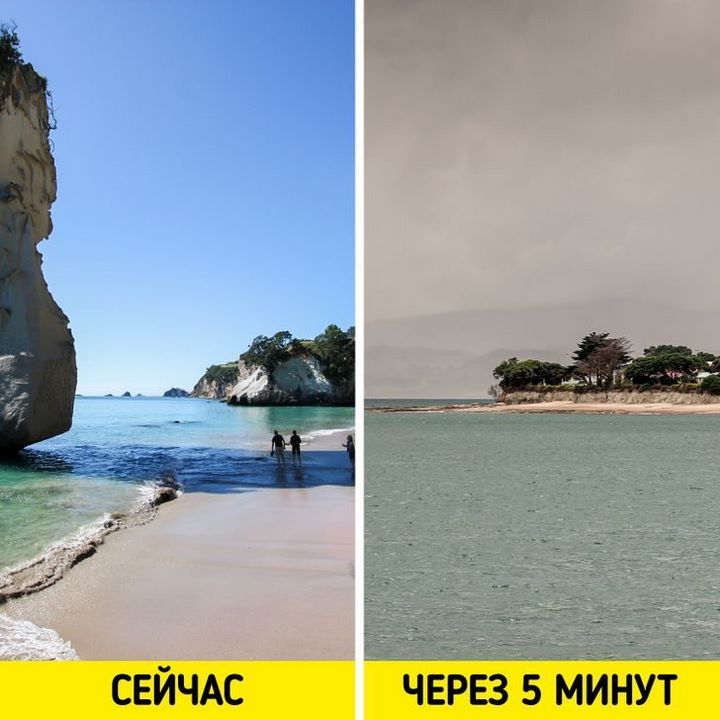 12 особенностей быта и традиций Новой Зеландии, от которых у приезжих округляются глаза