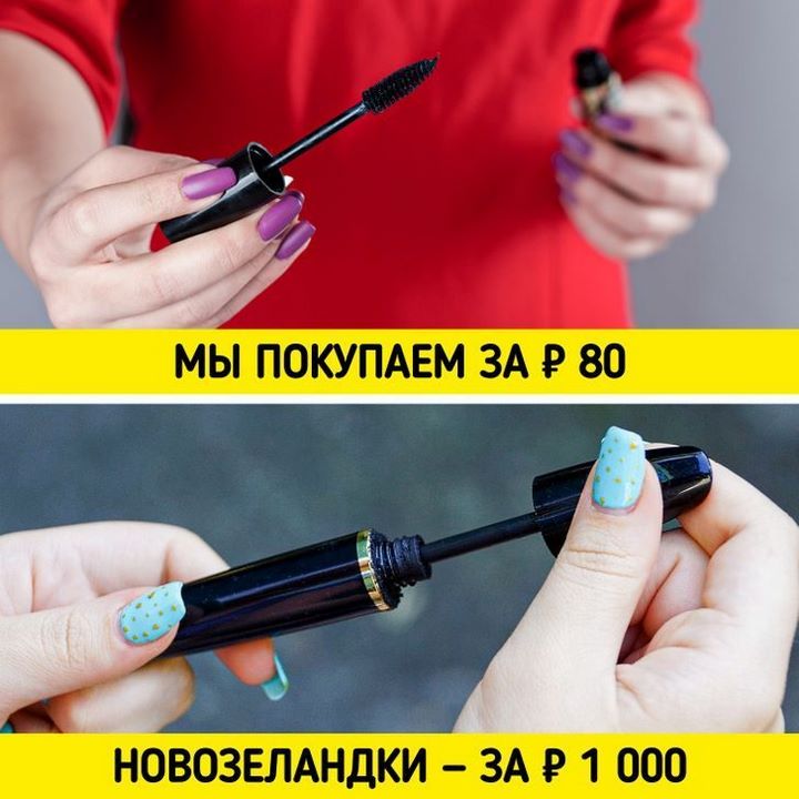 12 особенностей быта и традиций Новой Зеландии, от которых у приезжих округляются глаза
