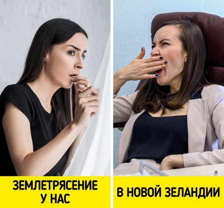 12 особенностей быта и традиций Новой Зеландии, от которых у приезжих округляются глаза