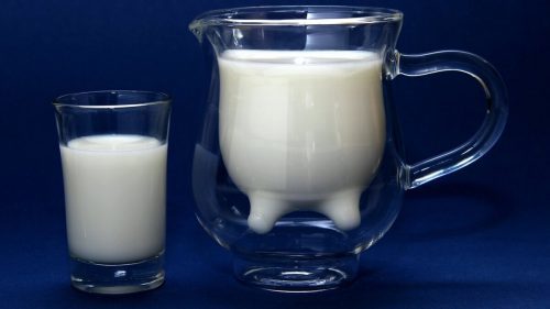 Причины, по которым молоко не киснет, а начинает горчить