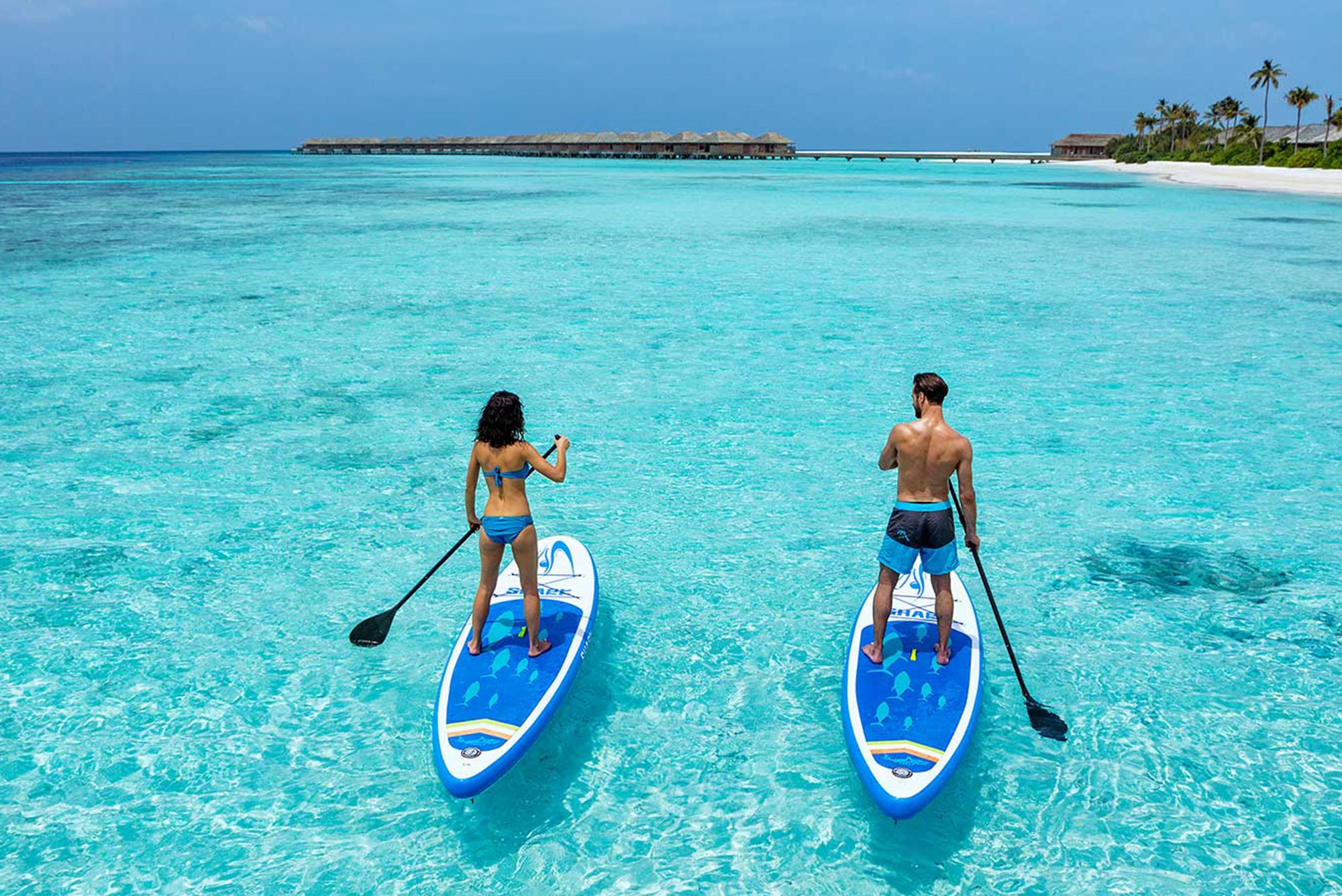 Мальдивы подешевели: что нового ждет туристов на райских островах  Об этом сообщает "Рамблер".