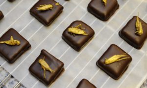 Экзотические «вкусняшки» или деликатесы, от которых становится не по себе