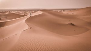 Дефицит песка в мире. Главный ресурс будущего